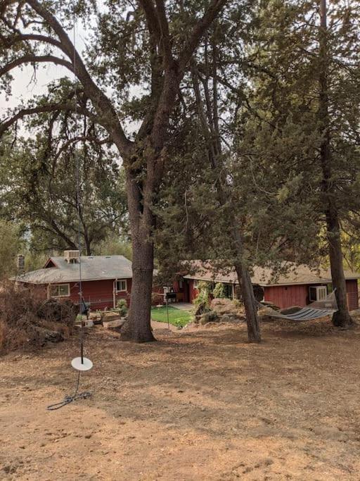 Sleeping Wolf Guest House Oakhurst Esterno foto